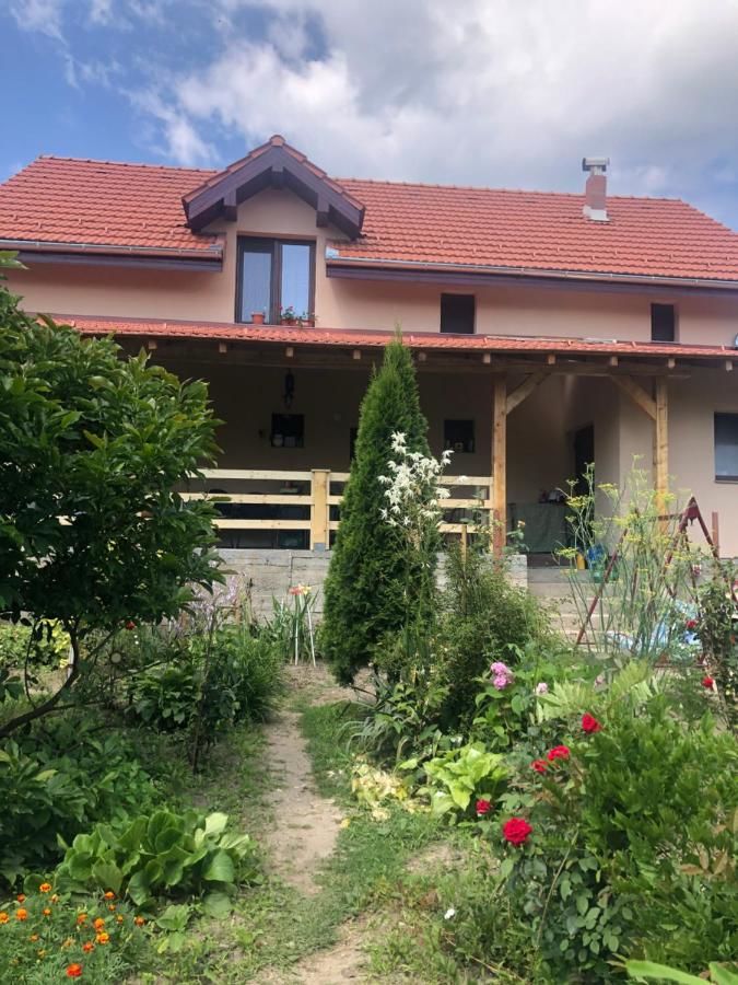 Гостевой дом Pensiune AGROTURISTICA COSTIANA Bretea Streiului-28